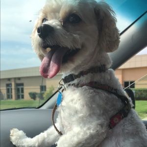 Meet your Posher, Haley